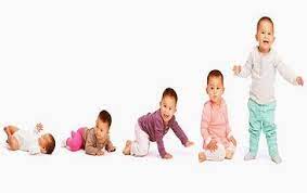 Children lined up, each representing a different developmental stage from infancy to adolescence.