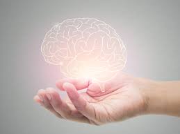 Digital representation of a hand holding a brain, symbolizing the importance of mental wellbeing and mindfulness.
