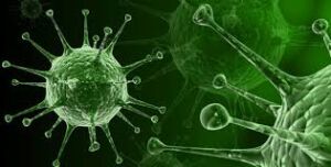 Microscopic View of the Spanish Flu Virus (H1N1) - 1918 Influenza Pandemic