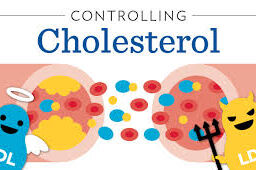 Visual representation of Good and Bad Cholesterol Levels, Contrasted for Understanding Cholesterol Health