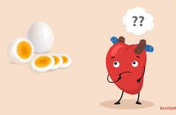 Image of a heart pondering whether eggs are good for its health