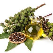 castor oil: Exploring Its Potential Benefits for gall stones Relief and Digestive Health