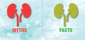 Myths and Facts About Kidney Health
