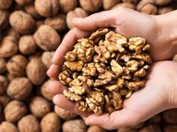Person showcasing heart-healthy walnuts, promoting cardiovascular wellness through a nutrient-packed diet.