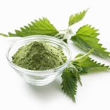 Nettle Leaf: Herbal Remedy for Kidney Health