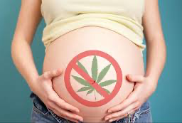 Pregnant woman embracing her abdomen with a 'No Marijuana' sign