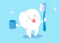 Tooth being cleaned with toothpaste and toothbrush for dental hygiene