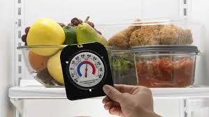 Thermometer ensuring safe food handling by checking food temperatures