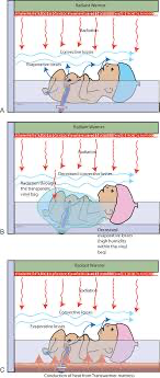 Illustration depicting various ways a baby loses heat, including conduction, convection, radiation, and evaporation. Learn how to protect your little one from heat loss risks.