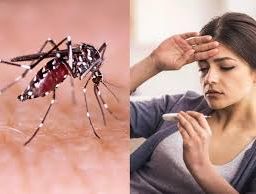 Visual representation featuring an Aedes aegypti mosquito, the Dengue fever vector, alongside an image of a woman with fever, highlighting the connection between mosquito bites and the onset of Dengue symptoms.