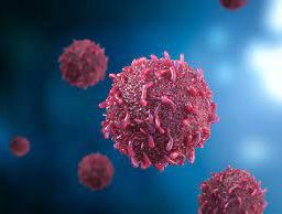 Microscopic view of cancer cells. Understanding the nature and characteristics of cancer cells is essential in dispelling myths and promoting accurate information.