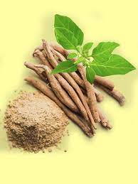 Display of Ashwagandha root, leaves, and finely ground powder