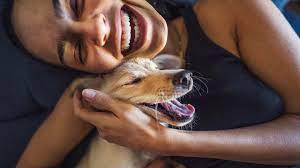 Owner sharing an affectionate moment with their dog.