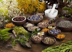 Assortment of various herbal remedies on display