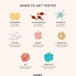 Assorted pathogens responsible for STDs in magnified view